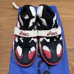 Item thumbnail for item c8a6a6b4-34d9-4f14-b799-67d2be8b87ac