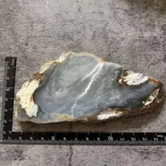 天然石　珪化木　スライス　ブルー系