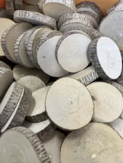 Item thumbnail for item e573479f-a8e2-4996-995e-ca39b847fa58