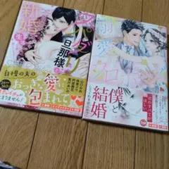 スパダリ旦那様と新婚生活 　溺愛プロポース