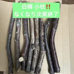 Item thumbnail for item 10f42ec7-8b47-450b-937a-3a799bee519a