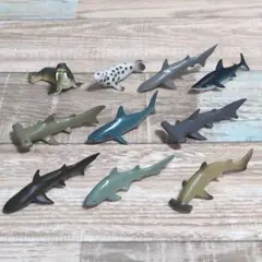 フィギュア 海洋動物 サメ いろいろ ミニチュア 10個セット
