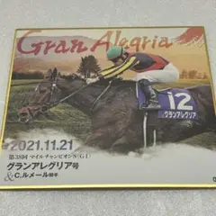 色紙コレクション　グランアレグリア
