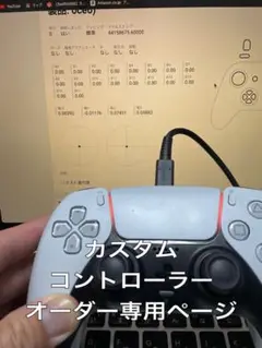 PS5 コントローラー カスタム オーダー プロコンPAD 背面 ボタン加工