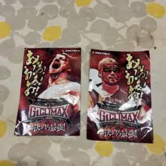 G1 CLIMAX 35 プロレスカード 2枚セット
