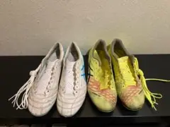 ASICS アシックス DSライト X-FLY4/アクロス※ 24.5