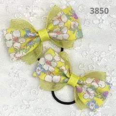 Item thumbnail for item d6013548-222f-4008-ae90-939a01759eb2