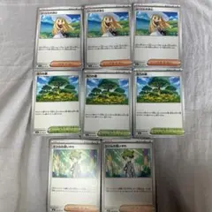 【美品】リーリエの決心　活力の森　ミツルの思いやり