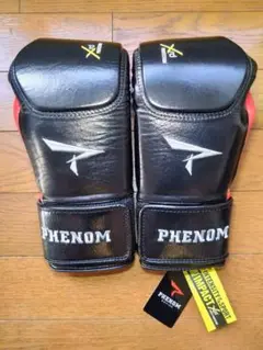 Item thumbnail for item 4d987d41-3e62-4a0a-aed1-6f3b2229348c