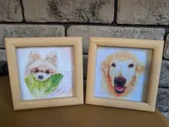 ポメラニアンとゴールデンレトリバーの絵画セット