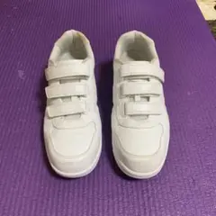 Item thumbnail for item d719b532-6c80-4a8e-a93b-ce10b2fe20da