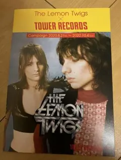 Lemon Twigs Brothers of Destruction レコード The Lemon Twigs - Brothers of Destruction EP - Boomkat
