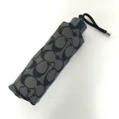 Item thumbnail for item 1cfba6bb-a627-40c0-b9a2-84e8cf23d8fd