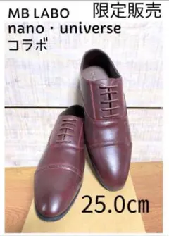 Item thumbnail for item 5c893cd4-2197-4d77-b9b8-a6231ef6d217