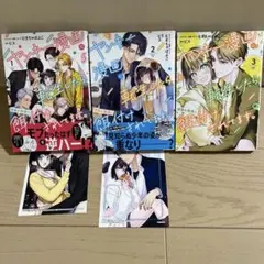 ヤンキー漫画に転生したら、何故か総長に餌付けけされてます。全3巻セット　特典付き