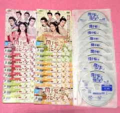 【国子監は花ざかり～ロマンスは最高学府で～】全話　レンタル落ち
