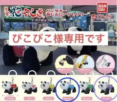 ★匿名配送 浅草 花やしき パンダカー めじるしアクセサリー ぱんだ 2種セット