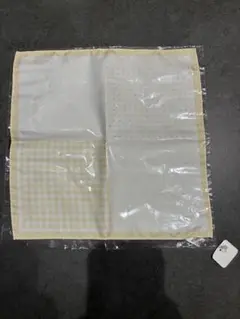 Item thumbnail for item 843f8734-3506-472e-a964-0efe895c9dbf