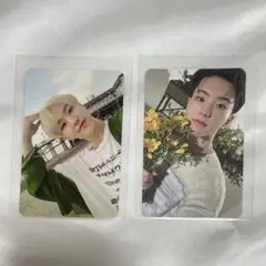 SEVENTEEN セブチ トレカ ホシ