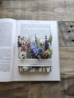 Herbarium 植物標本②