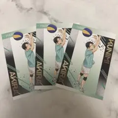 ハイキュー‼︎ ユース・擬似ユース アニメイト特典 ポストカード 国見英　３枚