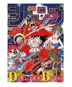 DRAGON BALL Poster Collection ガチャ ④