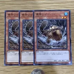 遊戯王　素早いビーバー　ノーマル　3枚