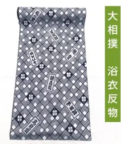 豪華 2025年最新】朝青龍 反物の人気アイテム メルカリ - 着物・浴衣