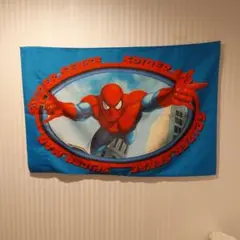 スパイダーマンのピロケース