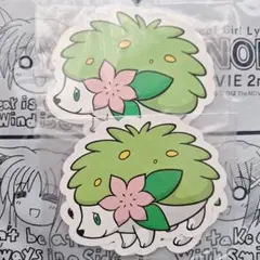 【匿名配送】ポケモンセンター限定　イラストカード　シェイミ　２セット