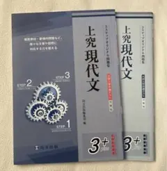 上究現代文 大学入学共通テスト対策版