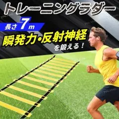 トレーニングラダー 7m スポーツ 筋トレ サッカー 陸上 野球 トレーニング