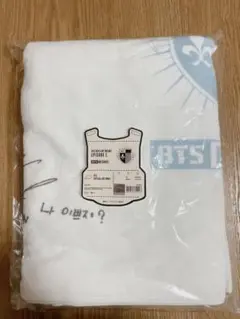 BTS 2015  LIVE BEGINS プログラムブック ビギンズ BTS 2015 LIVE BEGINS プログラムブック ビギンズ