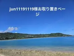 jun11191119様様　お取り置きページ