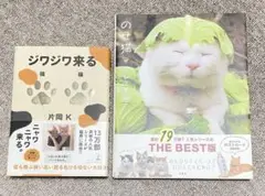 ジワジワ来る/のせ猫プレミアム 2冊セット