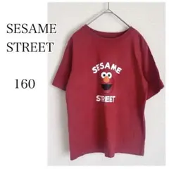 セサミストリート　エルモ　Tシャツ　160 子供服　キッズ　男女兼用　usj