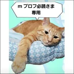 m プロフ必読さま専用