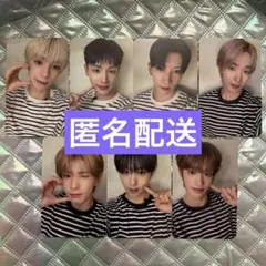 NEXZ ネクスジ　ヨントントレカ　全員セット