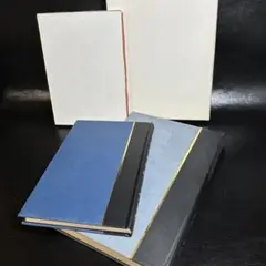 Item thumbnail for item 2f97c3ee-fd99-484b-a3ac-2719b369f60f