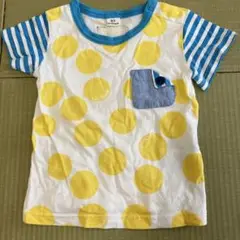 キムラタン　ドット半袖Tシャツ80センチ
