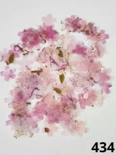 【434】トレス 桜 サクラ さくら クラフトパンチ