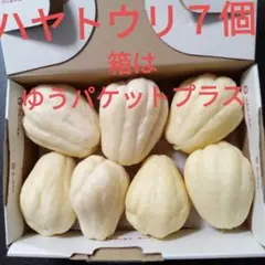 ハヤトウリ白7個