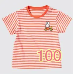 ミッフィー ストライプ Tシャツ 100 ユニクロ