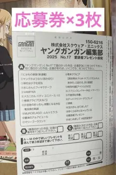ヤングガンガン 17号 えなこ チェキ＆QUOカード 応募券×3枚