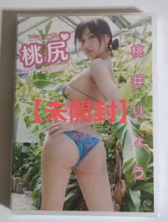 桃井りょう/桃尻～りょうの青春旅行～