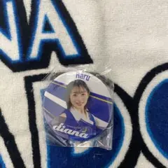 横浜DeNAベイスターズ diana Haru 缶バッジ