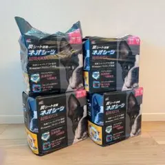 Item thumbnail for item 2c4f5a13-9c3f-4629-a995-a2c61fb99b6a