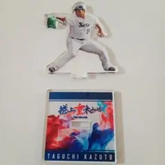 ヤクルトスワローズ　開幕オープニングシリーズ　スワポン　ミニアクスタ　田口