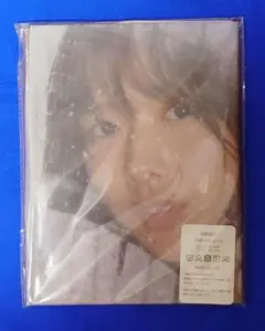 Item thumbnail for item e8333010-f98f-4682-b603-c492a0ea59ea