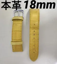 Item thumbnail for item 066ae2f6-1cbe-43ba-a294-467c2739f9a8